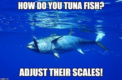Tuna meme - Description. The miau meme meme sound belongs to the memes. In this category you have all sound effects, voices and sound clips to play, download and share. Find more sounds like the miau meme one in the …